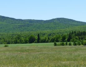 Johnnyrang Verchère